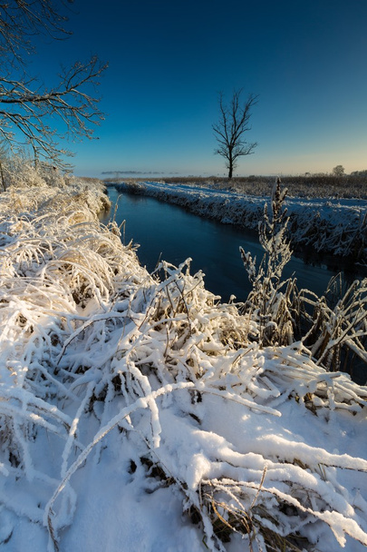 Inverno paesaggio fluviale
 - Foto, immagini