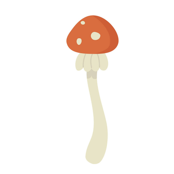 Toksyczny leśny grzyb. Trujący grzyb, amanita muscaria wektor ilustracja - Wektor, obraz