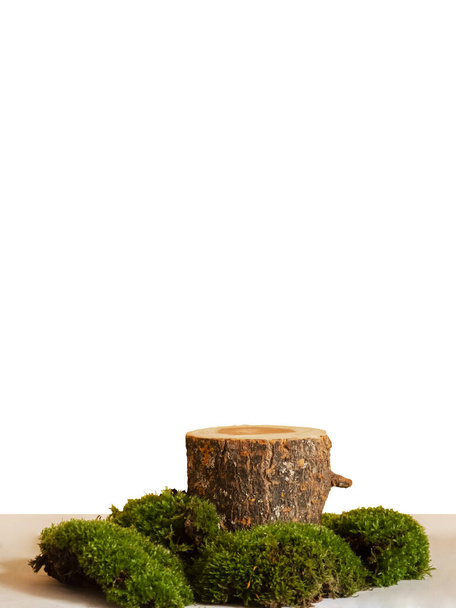 luonnollinen tyyli. Puinen saha leikattu, pyöreä korokkeella vihreä sammal valkoisella pohjalla. Asetelma tuotteiden esittelyyn. Kopioi tilaa, pystysuora valokuva - Valokuva, kuva