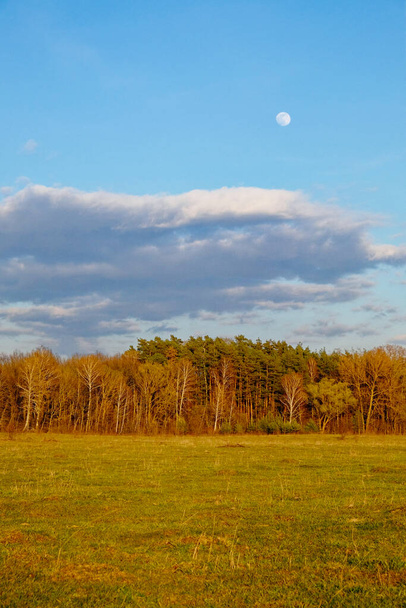 Une journée brillante avec la lune dehors ; ci-dessous sont des nuages, des bois et un champ vert expansif. - Photo, image