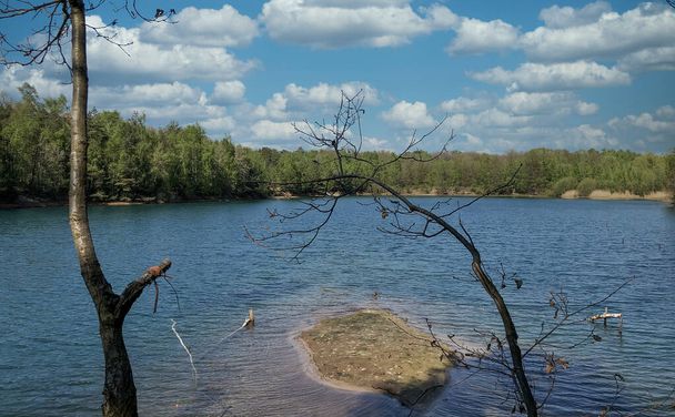 Αυτή η σύνθεση αιχμαλωτίζει την ουσία ενός απομονωμένου υδάτινου καταφυγίου, που χαρακτηρίζεται από μια παρθένα λίμνη που συνορεύει με καταπράσινα δέντρα. Σε πρώτο πλάνο, ένα αραιά φυλλωμένο δέντρο με χάρη καμάρες πάνω από το νερό - Φωτογραφία, εικόνα