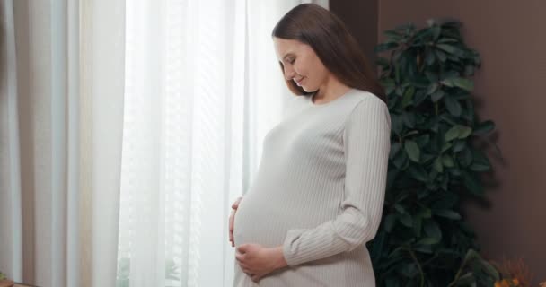Stralende zwangere vrouw staat bij het raam, staart naar de wereld buiten, een hand op haar buik, voelt de zachte fladdering van haar ongeboren kind, terwijl ze de schoonheid en magie van een nieuw leven koestert. - Video