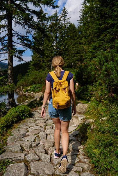 Visão traseira da mulher caminhando em montanhas com mochila. Viajante feminino caminhando na floresta. Viajando no parque nacional. Recreação ativa - Foto, Imagem