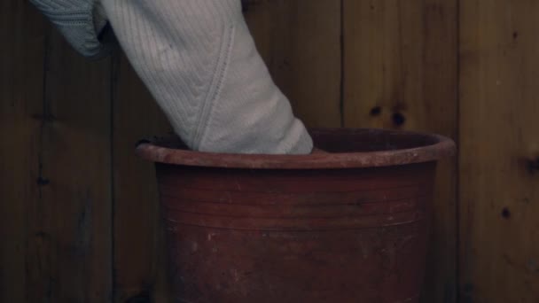 Λαμπτήρες φύτευσης Gardener σε γλάστρα σε ξύλινο δοχείο φόντο μέσο αργή κίνηση zoom shot επιλεκτική εστίαση - Πλάνα, βίντεο