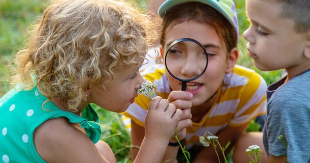 Дети вместе смотрят в увеличительное стекло на растения в саду. Выборочный фокус. Kid. - Фото, изображение