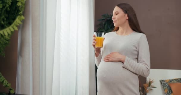 Happy pregnant woman stands near the window, enjoying a refreshing glass of juice as she lovingly touches her growing belly, feeling a deep connection with the precious life inside her. - Footage, Video