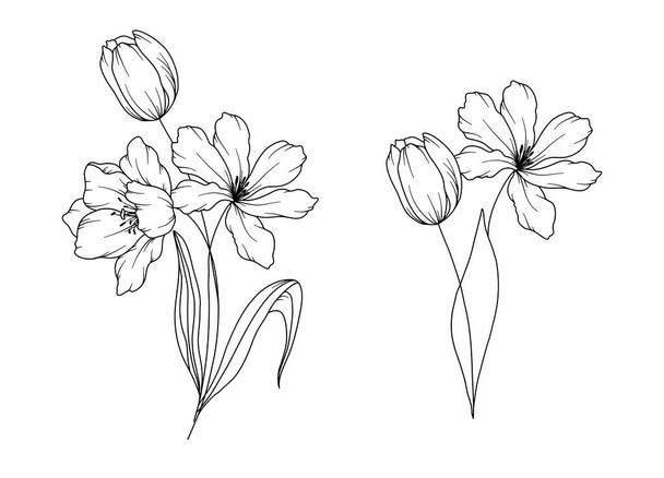 チューリップライン図面。 ブラックとホワイトフローラルブーケ。 フラワーカラーリングページ。 フローラルラインアート。 ファインラインチューリップイラスト。 手描きした花. 植物カラーリング。 結婚式の招待状の花 - ベクター画像