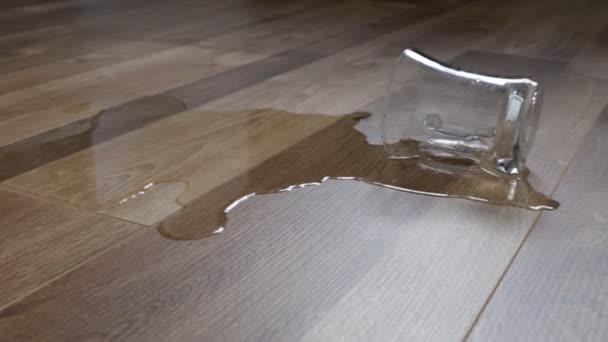 Glass of water spilled to the new laminate floor of wood - Video