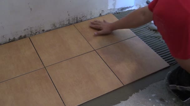 Handyman lay floor tiles at home. Closeup shot - Footage, Video