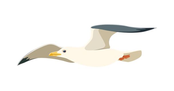 カートゥーン・シーガル,隔離されたベクターは優雅で自由な鳥が波の上に舞い,翼は風を捕まえる. 野生の海岸の美しさの象徴,それは自由と海洋を体現する風で踊ります - ベクター画像
