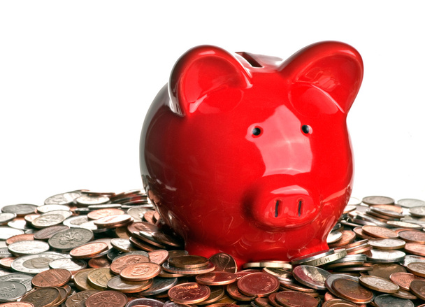 Schwein, Geld und Ersparnisse - Foto, Bild