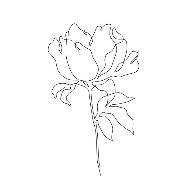 連続的なラインの芸術のデッサン様式のピーニーの花. 白い背景に隔離された植物線形の設計. フローラルコンセプトラインアート。 結婚式のポスター,招待状のための手描きベクターのイラスト - ベクター画像