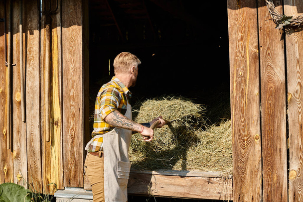 atractivo agricultor dedicado en atuendo casual usando horquilla mientras trabaja con heno en la aldea - Foto, imagen