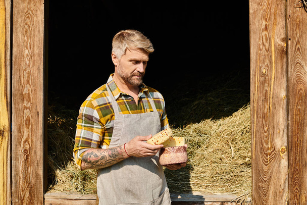 jóképű férfi tetoválással a karján alkalmi öltözékben, sajtot tartva és félrenézve a farmon. - Fotó, kép