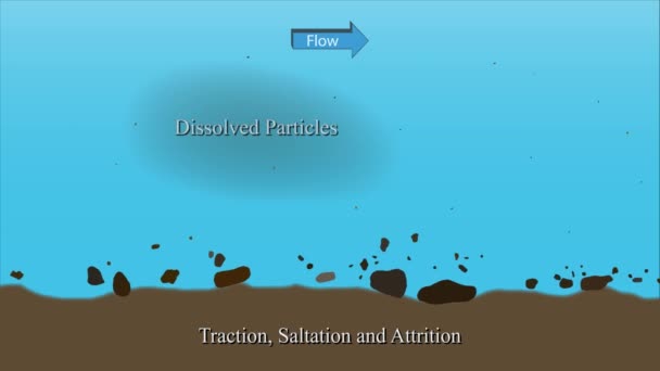 Particles Transportation System in River Graphic Animation. - Footage, Video