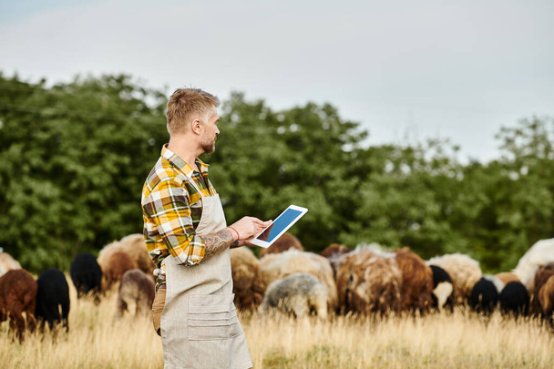 atrayente granjero con barba y tatuajes usando tableta para analizar su ganado de ovejas y corderos - Foto, imagen