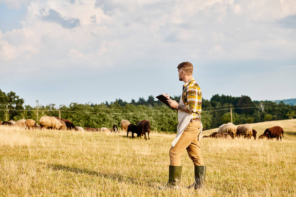 good looking modern farmer with beard and tattoos using clipboard to analyze his cattle of sheeps - Photo, Image