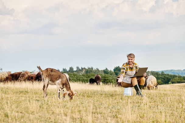 guapo granjero moderno con barba sentado con portátil y analizando su ganado de cabras y ovejas - Foto, imagen
