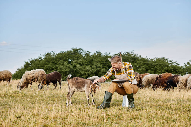 jóképű modern farmer szakállal ül laptoppal, és elemzi a szarvasmarha kecskék és juhok - Fotó, kép