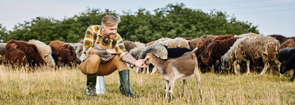 Dövmeleri olan yakışıklı, neşeli bir adam tarlada oturmuş komik bir keçiye uzanıyor, modern çiftçi, pankart. - Fotoğraf, Görsel