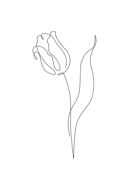 Tulipán flor línea continua arte dibujo estilo. Esbozo de línea de tulipán. Concepto del día de la madre. Fondo botánico floral de diseño lineal. Ilustración vectorial dibujada a mano para cartel de boda, tarjeta de invitación - Vector, imagen