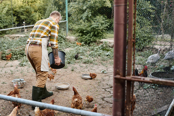 apelujący ciężko pracujący mężczyzna z tatuażami karmiący kurczaki w ptaszarni podczas pobytu na swojej farmie - Zdjęcie, obraz