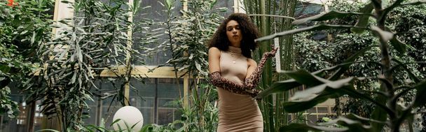 Afiş, Afro-Amerikan elbiseli kadın ve şehir bahçesindeki bitkiler arasında poz veren hayvan desenli eldivenler - Fotoğraf, Görsel