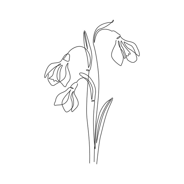 Snowdrops flor linha contínua arte desenho estilo. Desenho de linha de queda de neve. Conceito de primavera. Fundo de design linear floral botânico. Ilustração vetorial desenhada à mão para cartaz de casamento, cartão de convite - Vetor, Imagem
