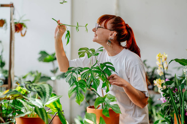 Jovem mulher de cabelos vermelhos caucasianos florista, amante de plantas, gosta de cuidar de plantas interiores em vasos, cuidados com as plantas em casa conceito. Jardinagem pessoas que cuidam de plantas - Foto, Imagem