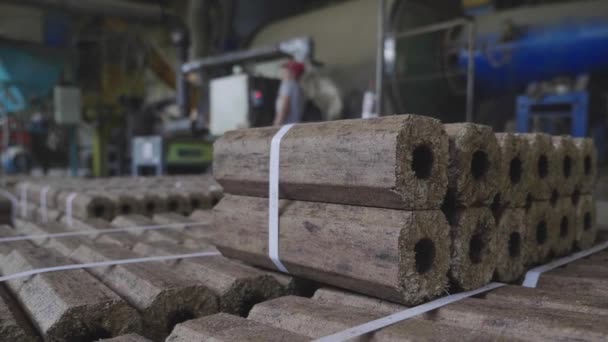 Fuel briquettes. Production of fuel from pressed sawdust. Briquettes stacked on pallets. - Footage, Video