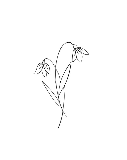  line art drawing of flowers. Editable line. minimalism sketch, idea for invitation, design of instagram stories and highlights icons. set line art set of flower rose - Photo, Image