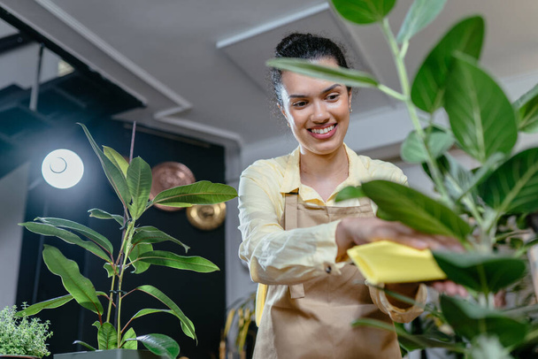 Вид знизу щасливої афроамериканської жінки, яка носить фартух, що працює і піклується про фікусову рослину в горщику. Хобі та концепція дозвілля. - Фото, зображення