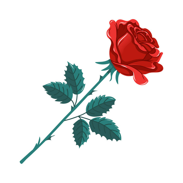 Kézzel rajzolt vektor illusztrációja egy rózsabimbó. Romantikus firka vázlat. Vörös rózsa virág szárával és leveleivel - Vektor, kép