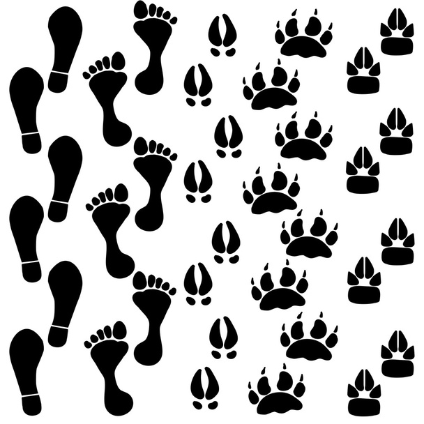 People and pets footsteps - Vector, Image