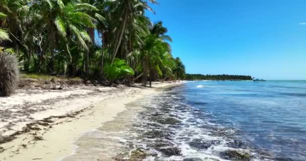 Trópusi tengerpart és Karib-tenger, egzotikus paradicsom vad sziget Dominikai Köztársaság strandok - Felvétel, videó