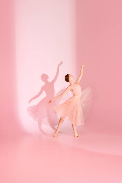 Elégante posture. Ballerine en robe de ballet traditionnelle rose, tutu pose pieds nus sur fond rose pastel avec son ombre. Concept de passe-temps, féminité et grâce, ballet, beauté. - Photo, image