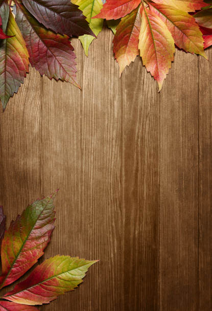 Feuilles d'automne avec espace de copie
 - Photo, image