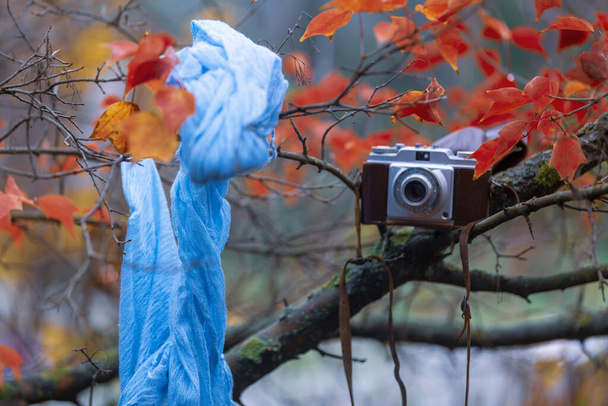 Vieilles caméras précieuses photographiées dans la nature - Photo, image