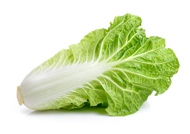 fresh chinese cabbage on a white background - Fotoğraf, Görsel