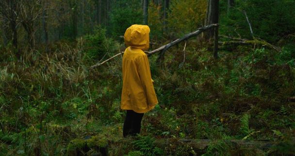 Tiro cinematográfico de menina em capa de chuva amarela em pé na floresta durante a caminhada nas montanhas. Jovem turista ou caminhante olha para a floresta chuvosa e gosta da natureza. Conceito de exploração ao ar livre. Movimento lento. - Foto, Imagem