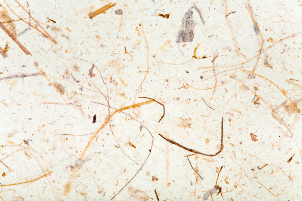 Hintergrund aus Büttenpapier mit Gras - Foto, Bild