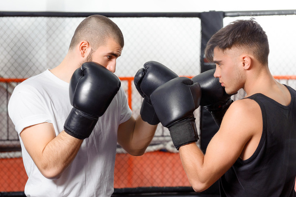 Boxers fight in a sparring - Φωτογραφία, εικόνα