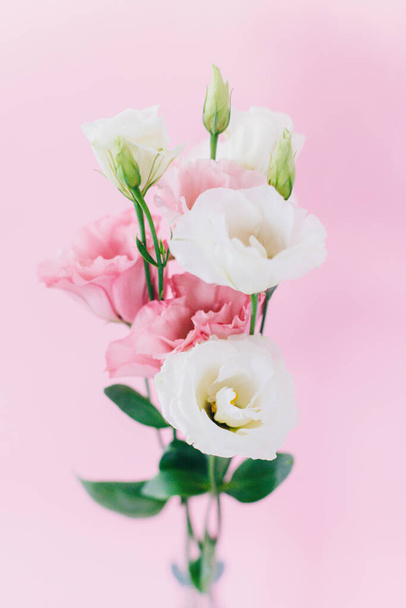 Hermosas flores blancas y rosadas de Eustoma (Lisianthus) sobre un fondo pastel rosado. Enfoque selectivo. - Foto, imagen