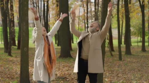 feliz idosos caucasiano casal maduro mulher sênior homem 60s idade avós jogando folhas no outono parque férias juntos de volta para a infância desfrutando caído folhagem regozijo louco ter diversão abraço - Filmagem, Vídeo