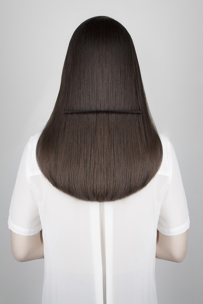 healthy long hair.back of young woman - Fotografie, Obrázek