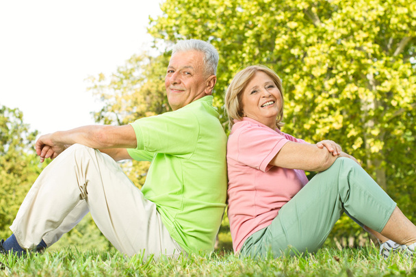 šťastný starší pár sedět na trávě - Fotografie, Obrázek
