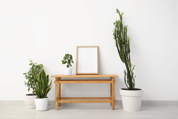Grande cactus con pittura, piante d'appartamento e tavolo vicino alla parete bianca in camera - Foto, immagini