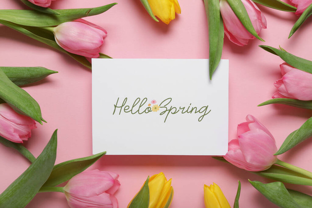 Greeting card with text HELLO SPRING and beautiful tulips on pink background - Foto, Imagen