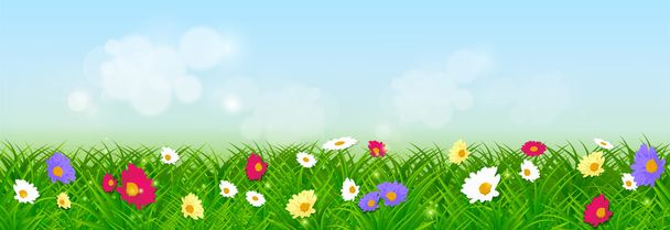 Meadow background - Vector, Image
