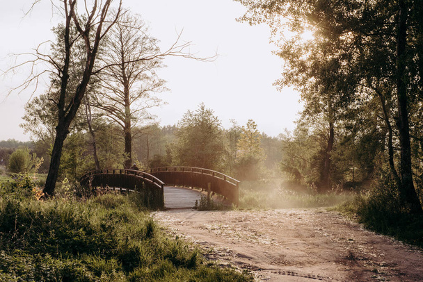 un ponte su una strada sterrata in una zona boscosa - Foto, immagini